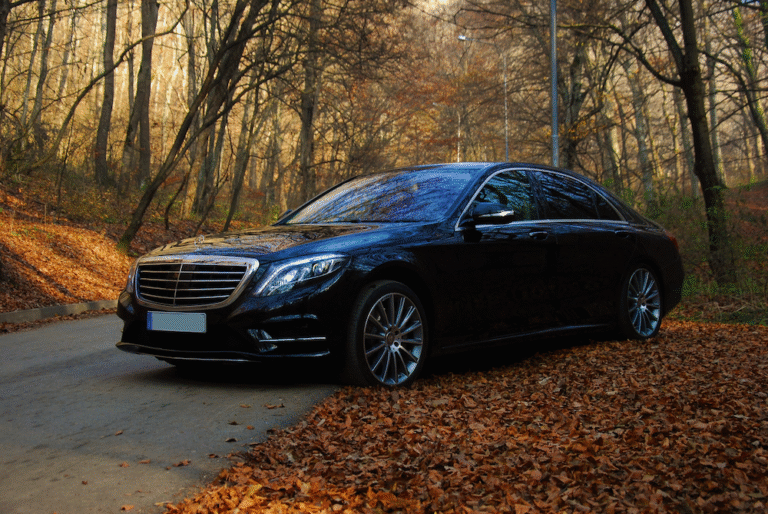 mercedes-s class chauffeur service
